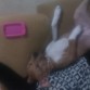 Como la voy a echar del sofa con lo agustirrinin que esta? Se me cae la baba !!!! 
